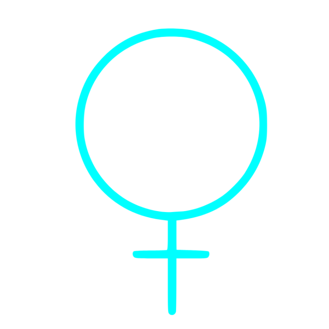 Venus villas icon